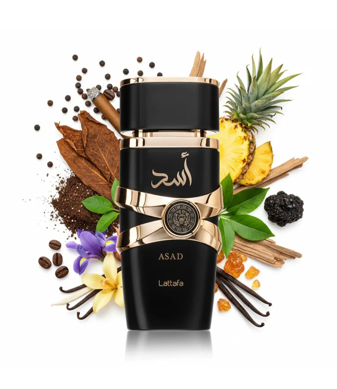 ASAD de Lataffa